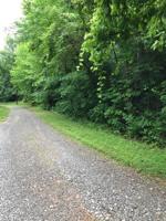 Tellico Camp Rd 3
