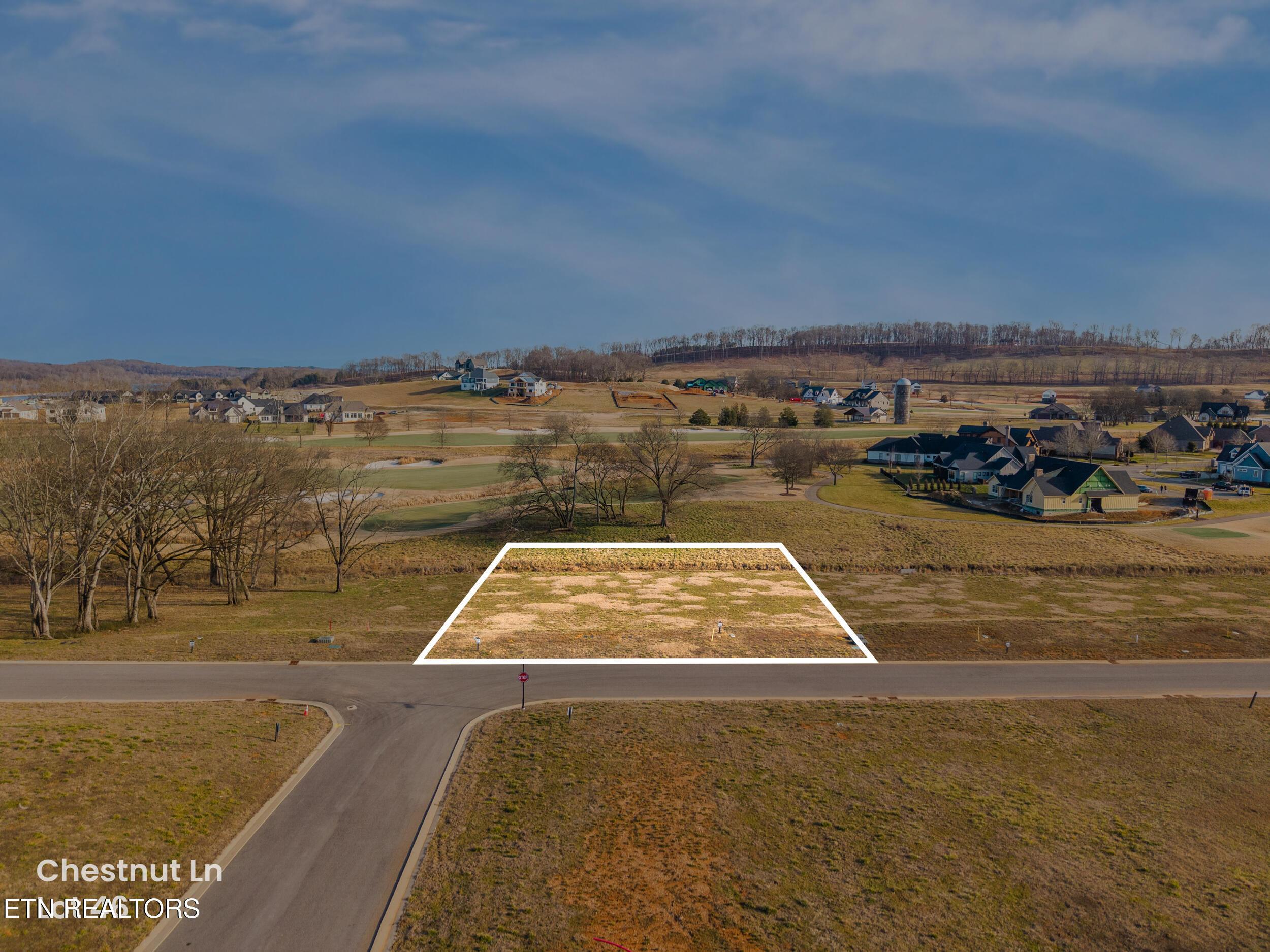 Image 2: chestnut_ln_lot_46_0001-property line