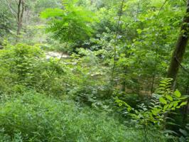 348 Old Clear Creek Rd