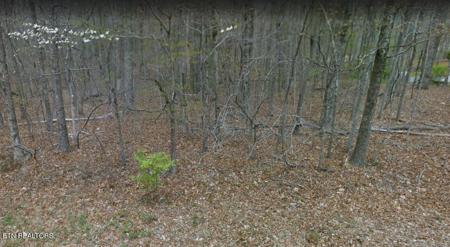 5213 Pawnee Rd
