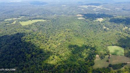 Dogwood Valley Rd | Lot 5