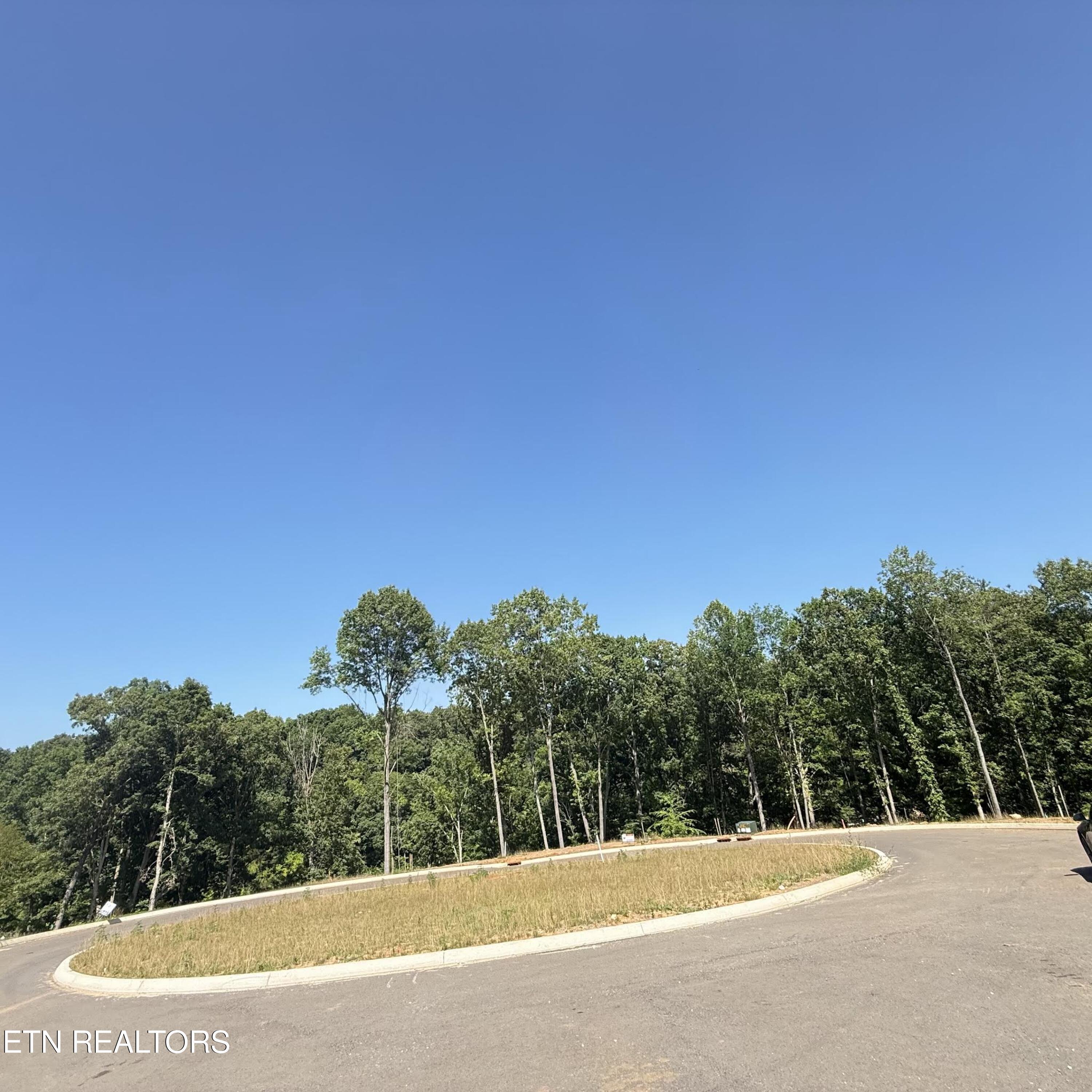 Image 2: IMG_0321