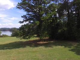 Lot 14 Shield Xing  14