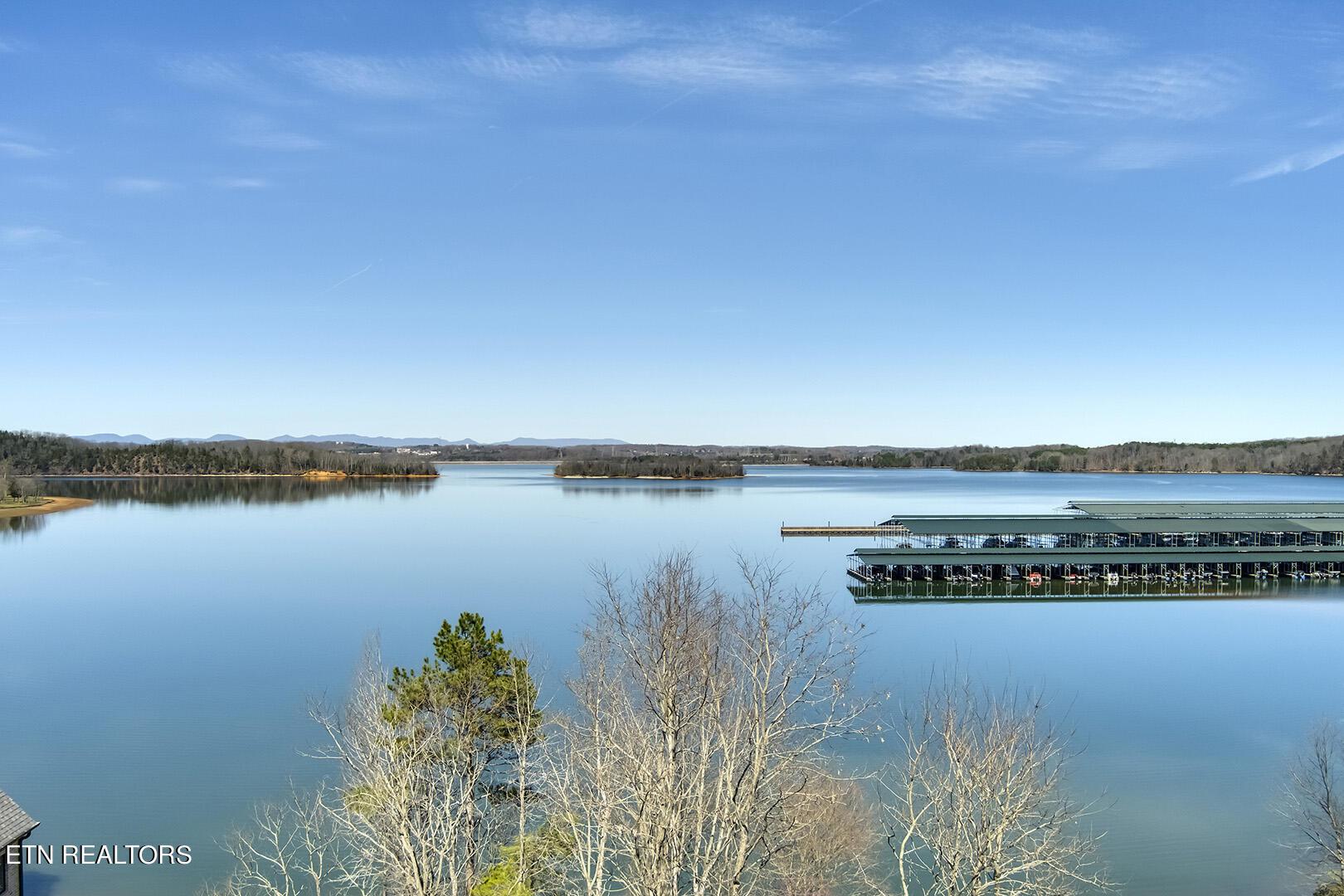 Image 2: 09_CypressPointeDrive_204_Over-LotLakeVi