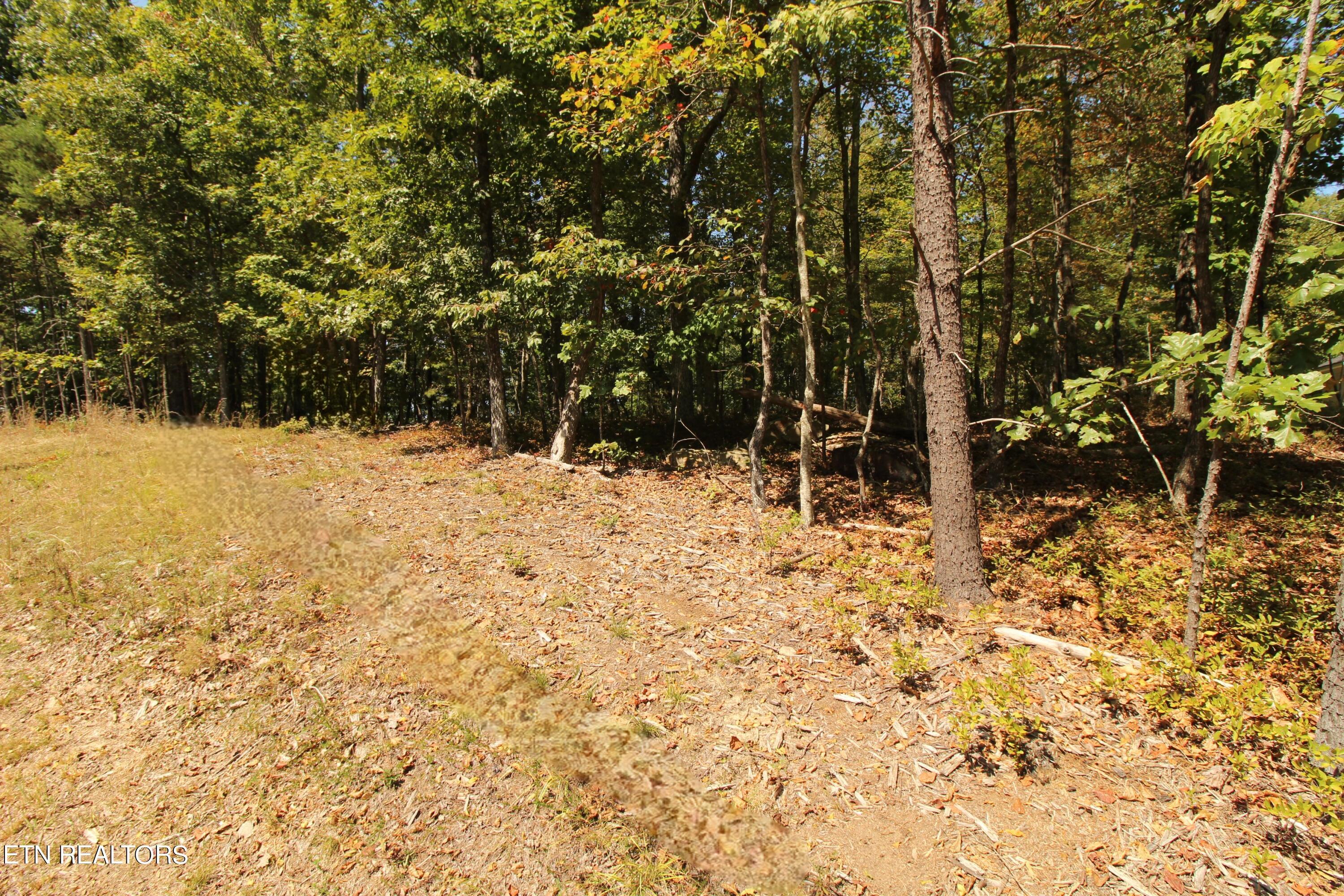 Image 3: IMG_4846