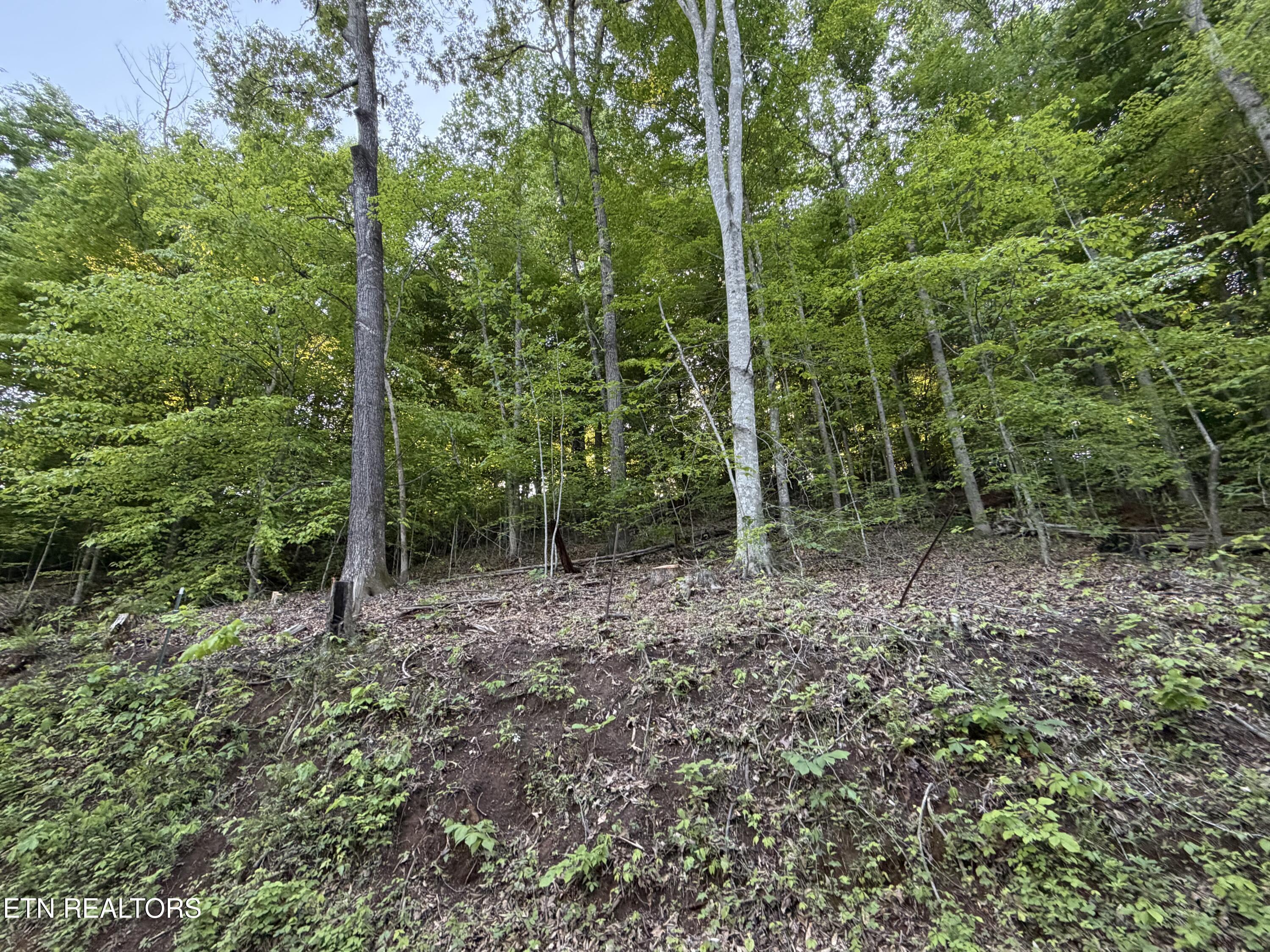 Image 3: IMG_1123