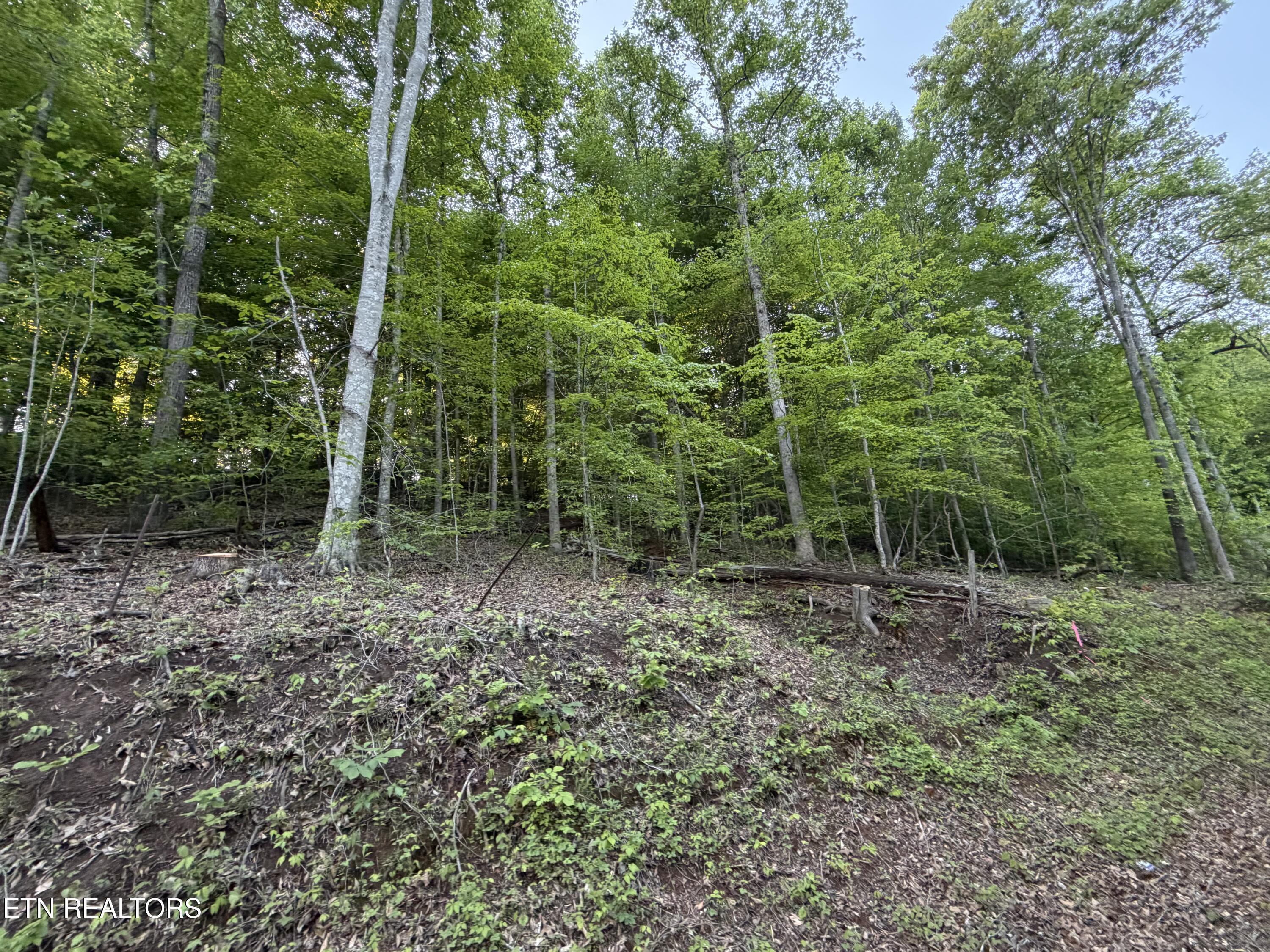 Image 4: IMG_1122