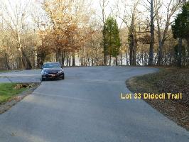 Didodi Tr 33