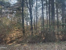 5047 Beaver Rd