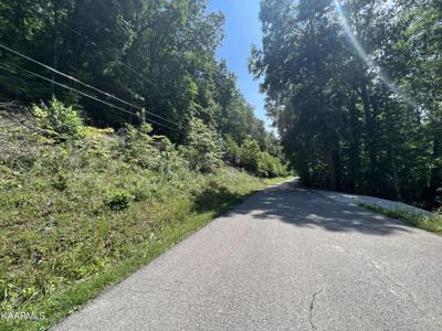 lot 178 Yoakum Hollow Rd