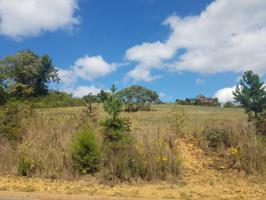 Lot 16 Aidans Tr 16