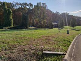 Lot 95 Cow Poke Lane 95