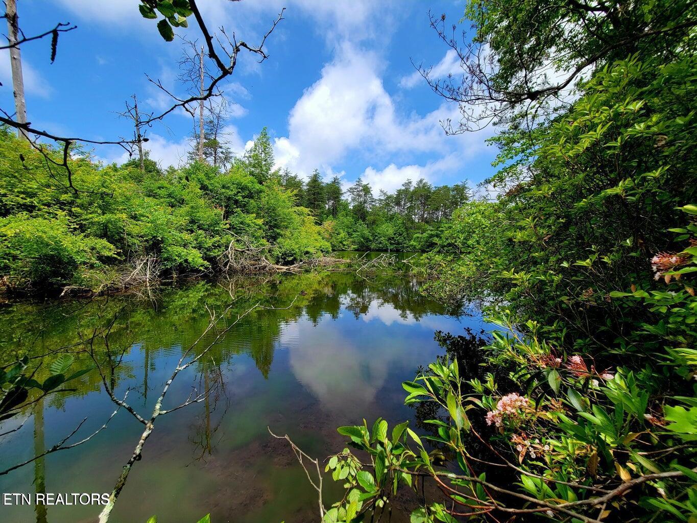 Image 2: Cumberland Lakes Drive Lot 5 Photo 2
