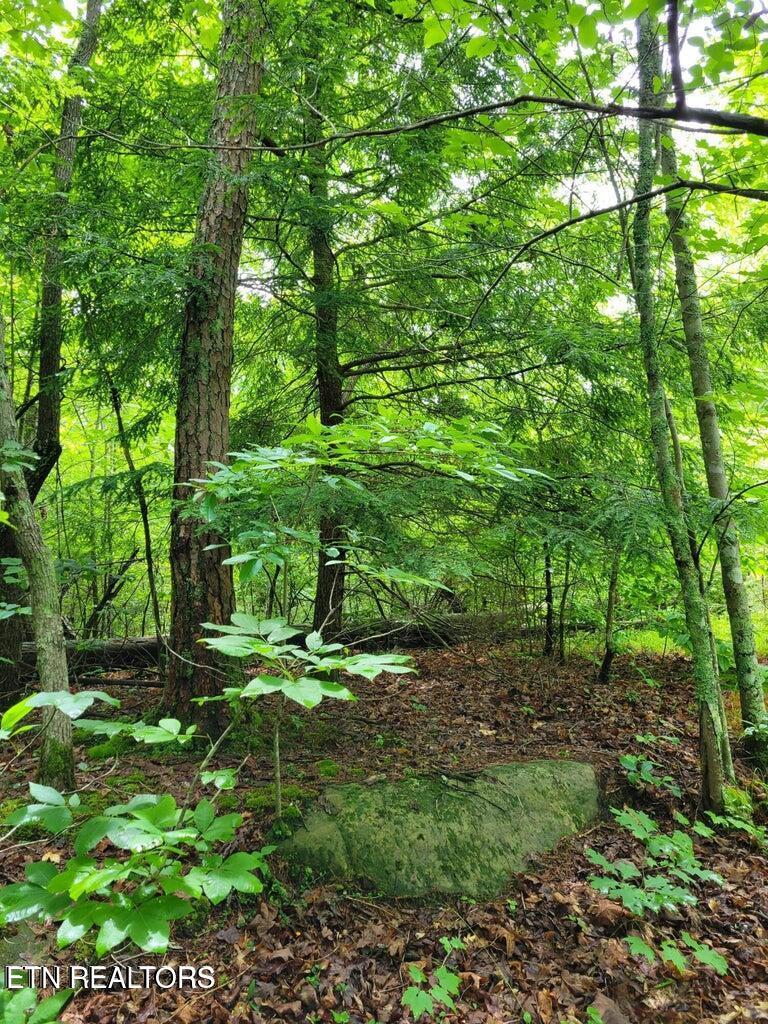 Image 3: Cumberland Lakes Drive Lot 5 Photo 5