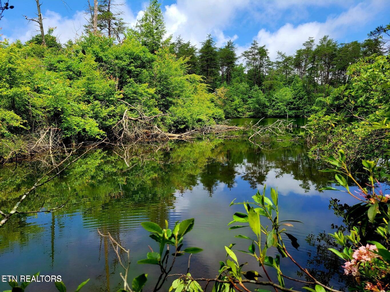 Image 4: Cumberland Lakes Drive Lot 5 Photo 4
