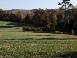 Lot 98 Cow Poke Lane 98