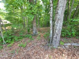 130 Pineridge Loop