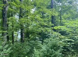 Lot 226 Lakeshore Drive