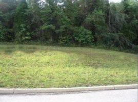 L 199r Sandpiper Drive 199r