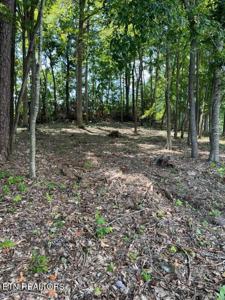 Lot # 16 Demory Rd