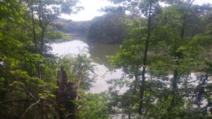 00 Scenic River Rd 2