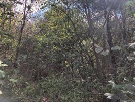 105 Inagehi Way 3