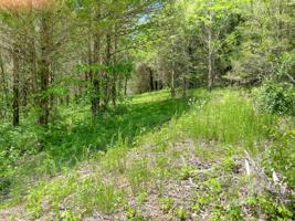 Lot 181 Links Court
