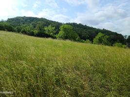 Lot 676 Russell Brothers Rd