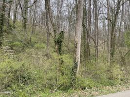 506 Tanasi Circle