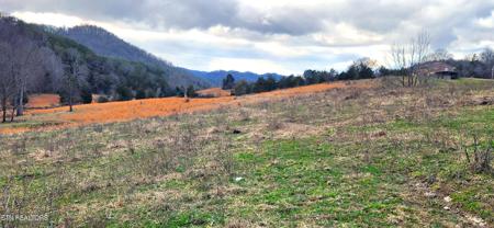 2895 Cantwell Valley Rd