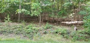 187 Lynhurst Drive 101