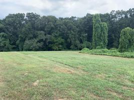 Lot 95 Cow Poke Lane