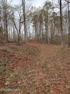 Mount Vista Drive