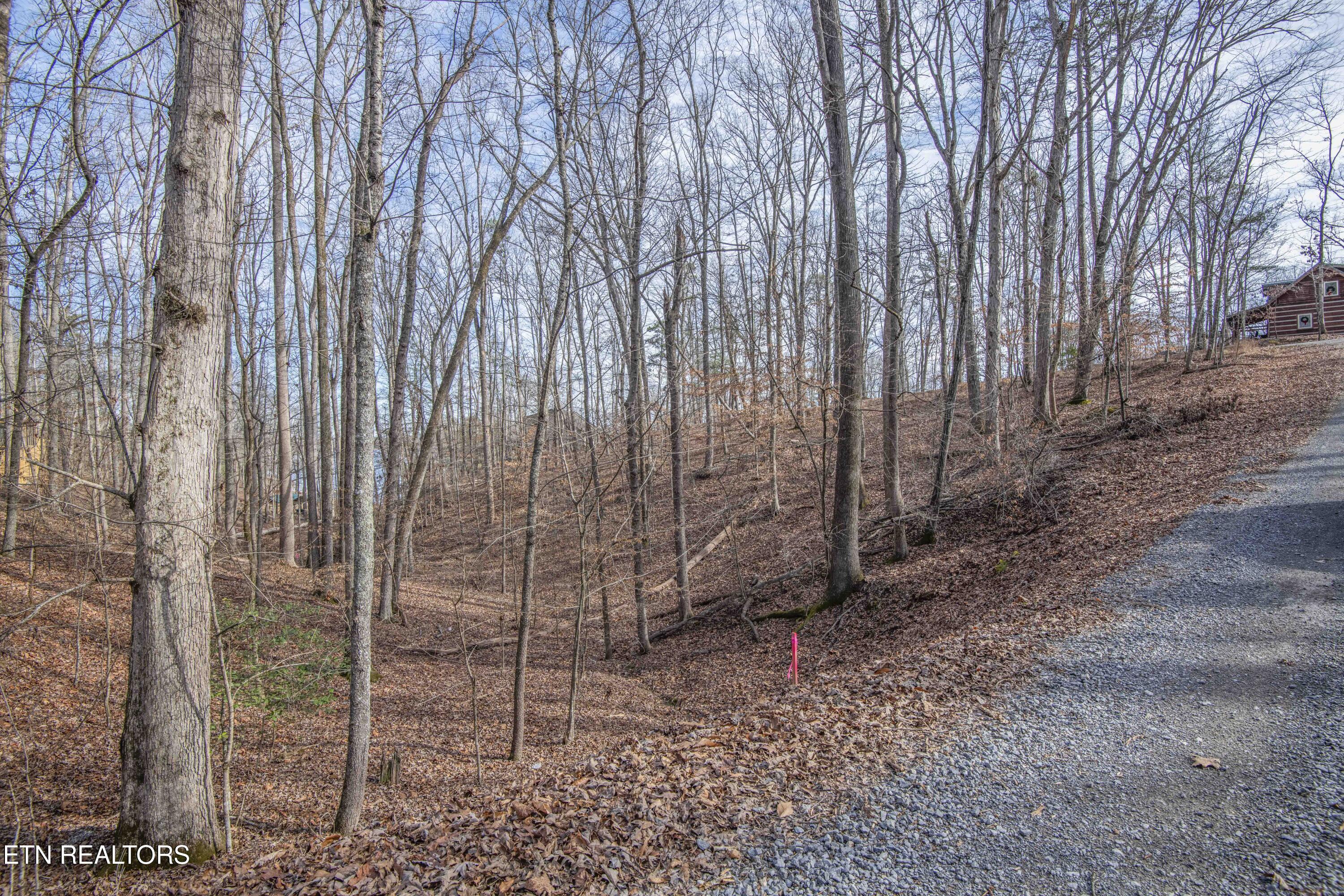 Image 3: ground 12_1