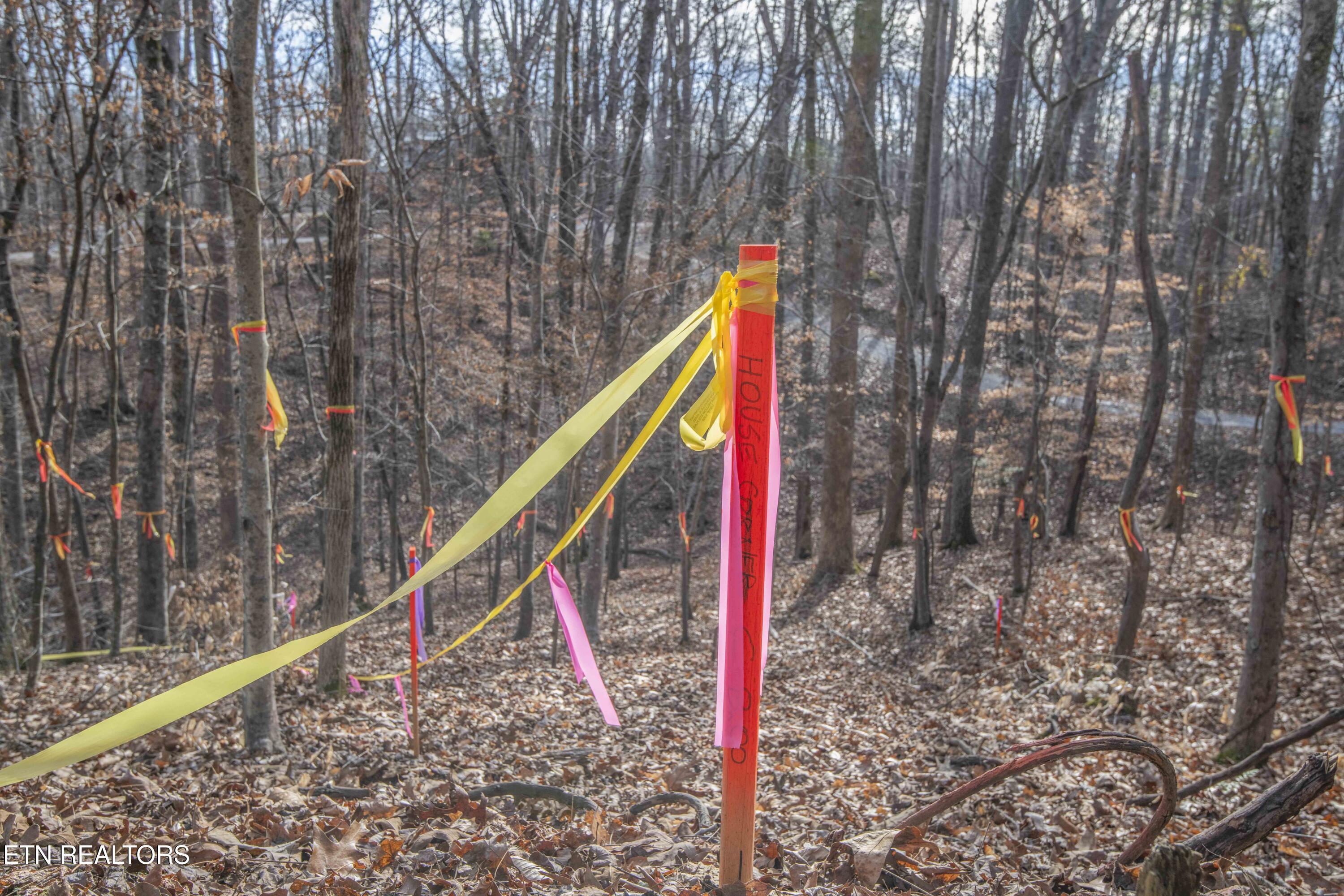 Image 4: ground_1