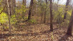 220 Choowa Trace
