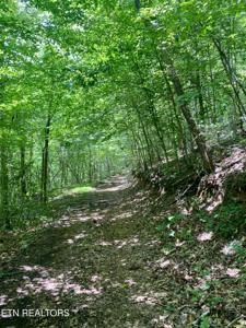River Ridge Road Tract 3