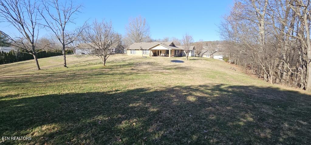 Image 3: 17672986293835