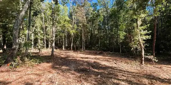 Tract 4 Pleasant Hill Rd