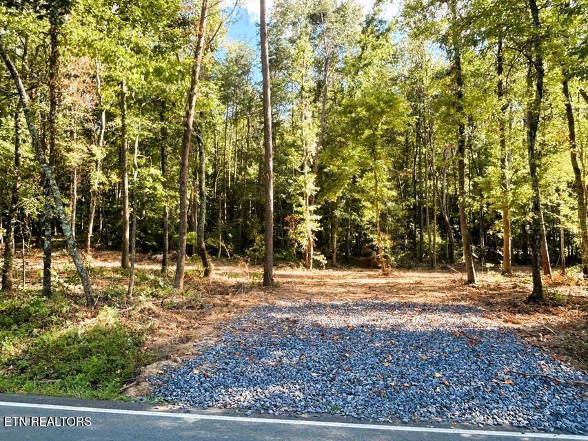Image 2: PH 4 driveway