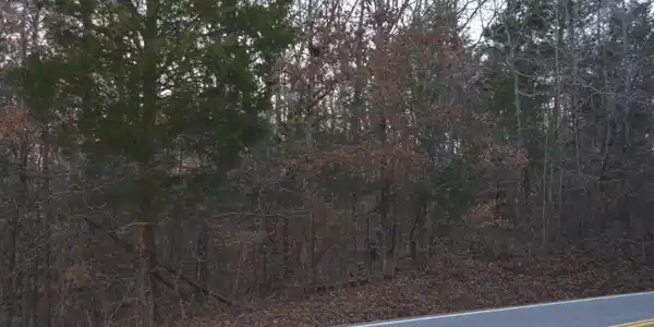 Brittsville Rd