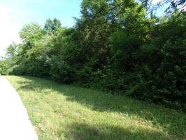 121 Saloli Way 5