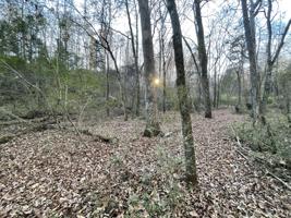 212 Seminole View