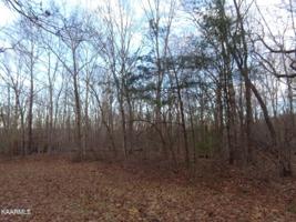 35 Bellwood Rd