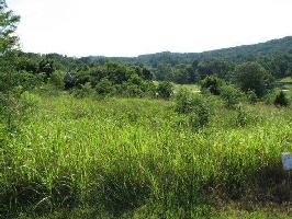 Lot 28 Block 7 Walelu  28