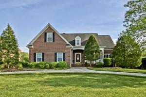 16 Raintree Place