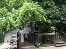 157 Dogwood Tr