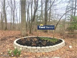 Lot 62 Cheri Lane