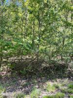 106 Norcross Rd