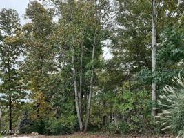 Lot 49 Norris Crest Drive